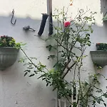 Nordwindoase Apartment