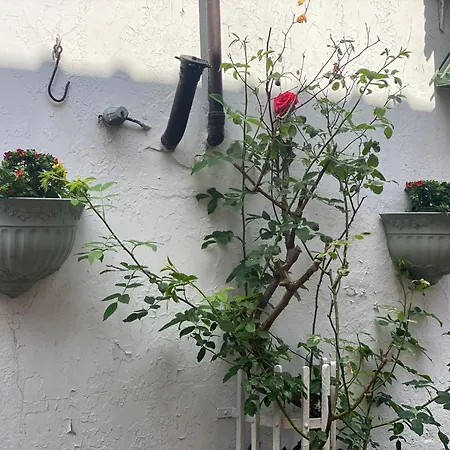 Nordwindoase Apartment